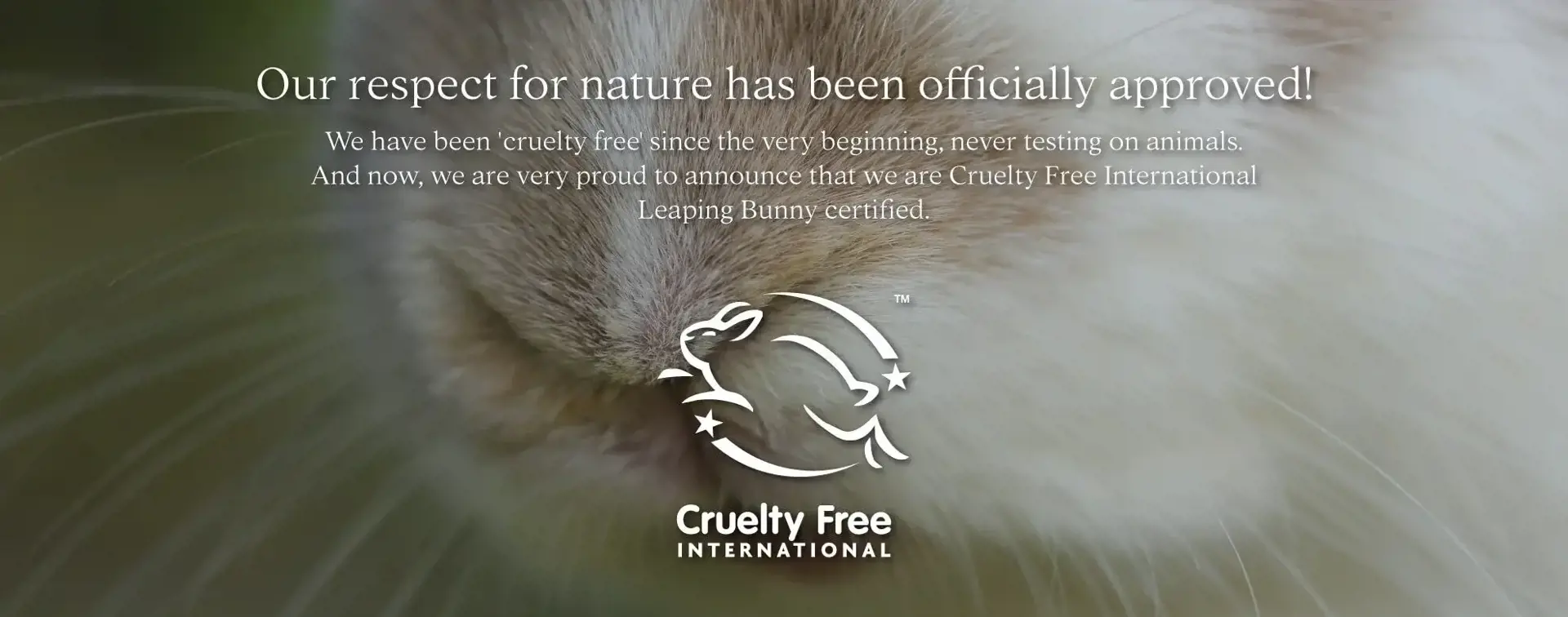 WE ARE CRUELTY FREE